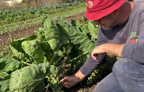 המועצה האזורית עמק יזרעאל משיקה קמפיין לחיזוק העסקים המקומיים