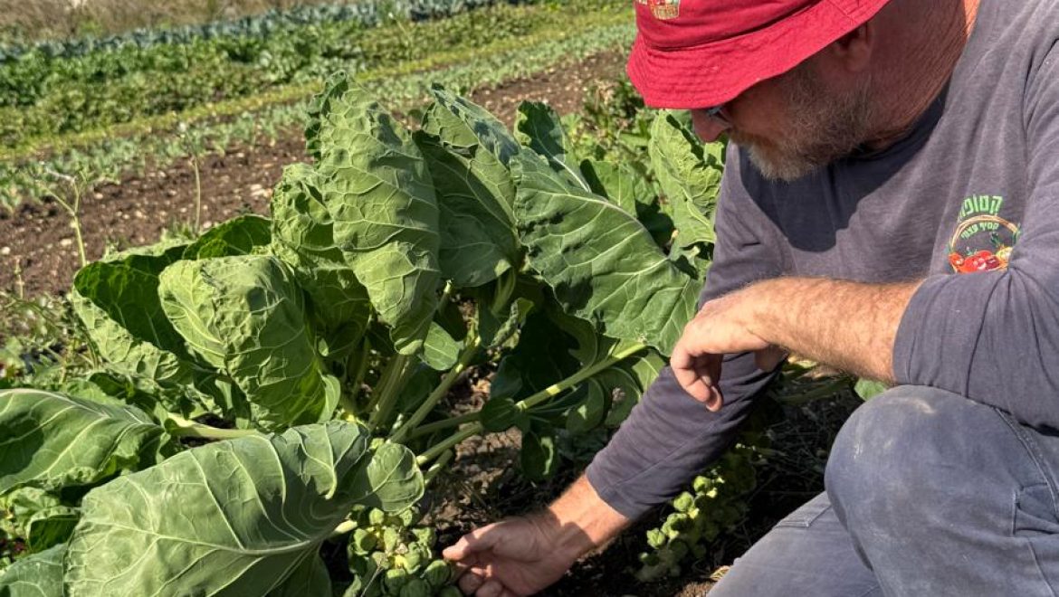 המועצה האזורית עמק יזרעאל משיקה קמפיין לחיזוק העסקים המקומיים