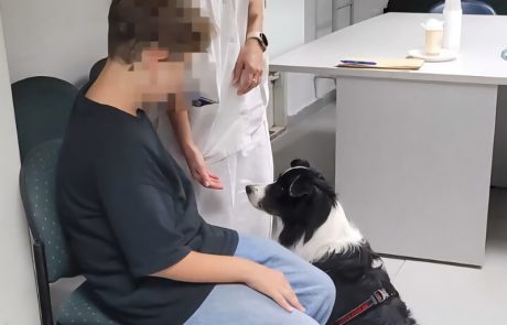יוזמה ייחודית בכללית: כלבים טיפוליים מסייעים לילדים בזמן חיסון השפעת